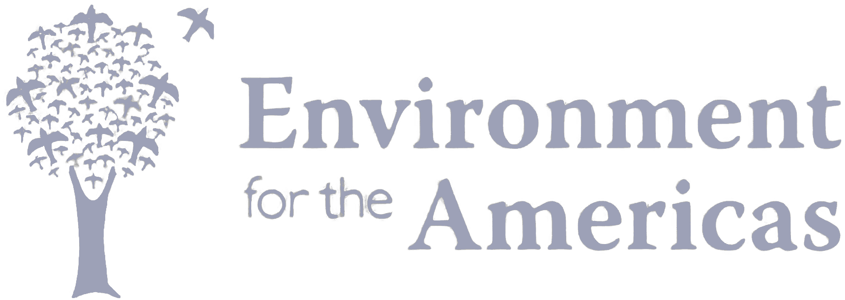 Environment for the america logo