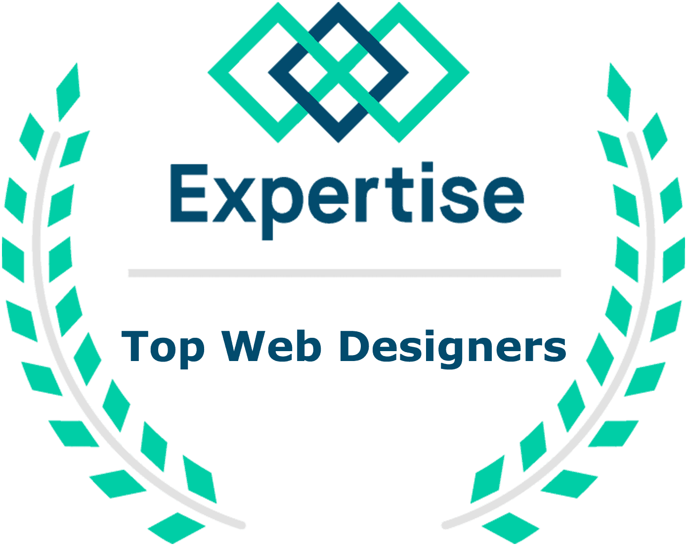 Top Web Designer award expertise
